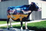 Return to the Around Calgary index
