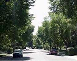 Kelvin Grove Real Estate